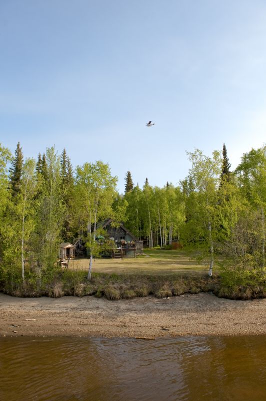 Environmental Land Clearing Firms