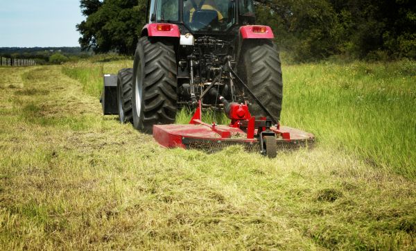 Brush Clearing Service in Georgetown