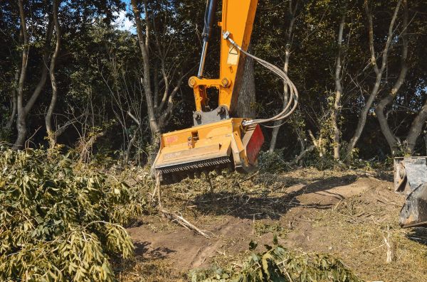 Brush Removal Service in Georgetown