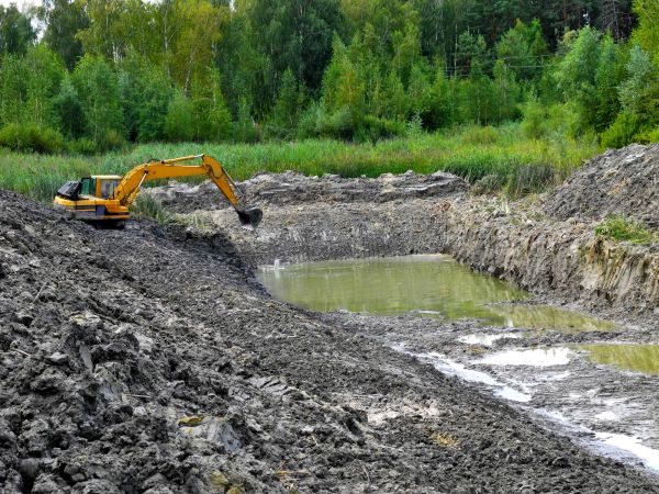 Cost of Lake Lot Clearing in Georgetown