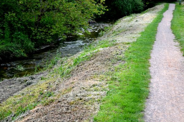 Cost of Trail Cutting in Georgetown